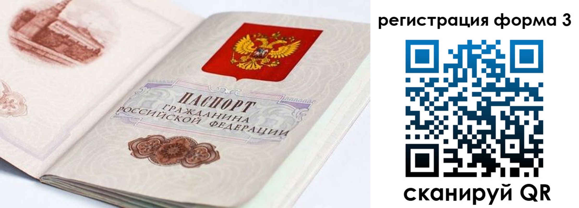 временная регистрация для всех в Светлогорске